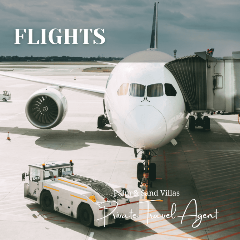 commercial-airline-concierge-service