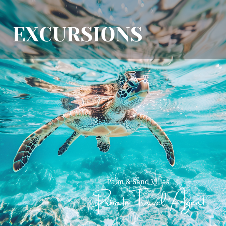 turtle swimming in clear turquoise water in the ocean